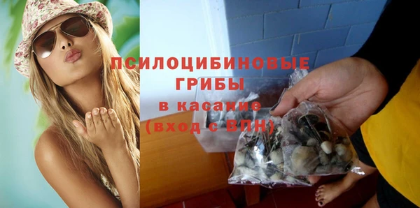МДПВ Видное