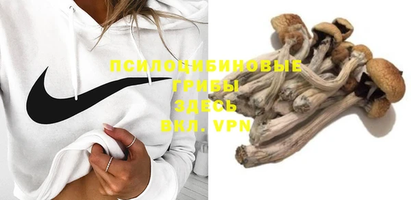 мяу мяу мука Новодвинск