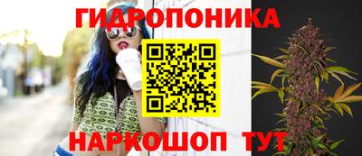 молекула духа Краснознаменск