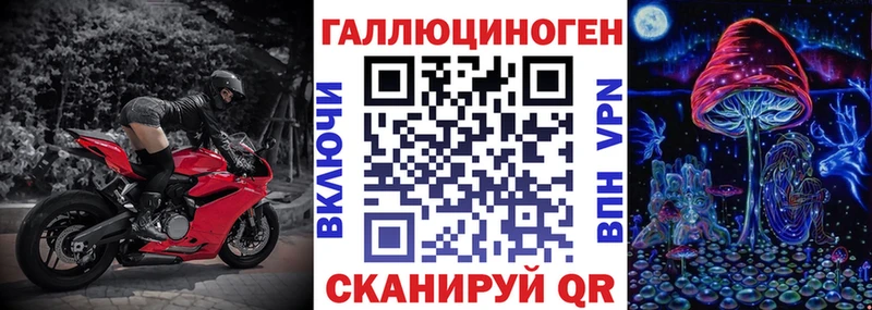 MEGA   магазин    Россошь  Псилоцибиновые грибы Psilocybe 