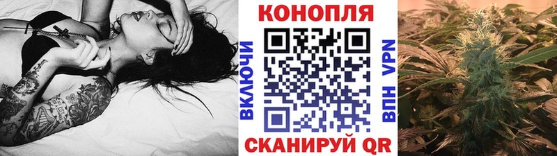 МАРИХУАНА тримм  купить наркоту  Россошь 