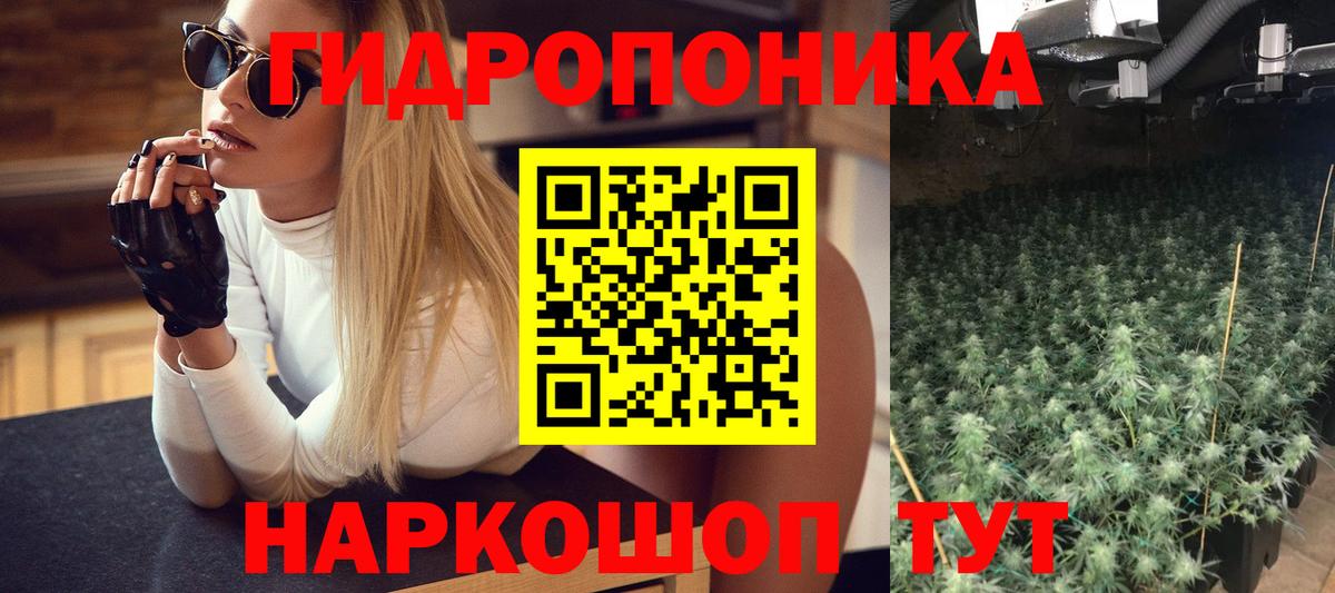 Конопля конопля Россошь